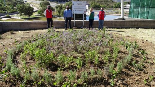Instalan-en-Ecoparque-jardin-polinizador-para-conservacion-de-mariposa-monarca-en-su-ruta-migratoria-2