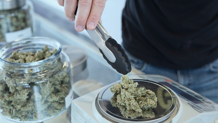 cannabis_0