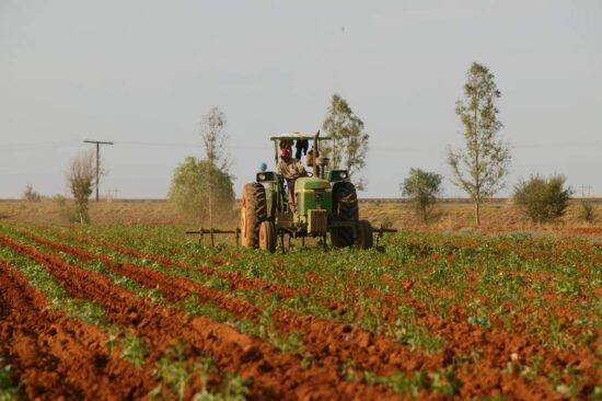 Facilita-gobierno-estatal-contratacion-de-70-zacatecanos-en-el-sector-agricola-de-Canada-0