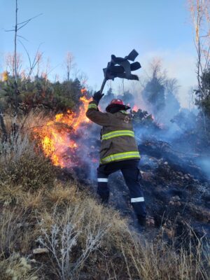 Reporta-PC-Estatal-479-incendios-forestales-en-33-municipios-1