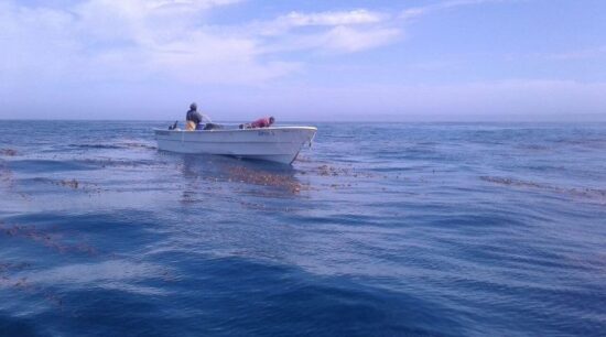 SEPESCABC_PESCA-RIBEREÑA-1-720x400