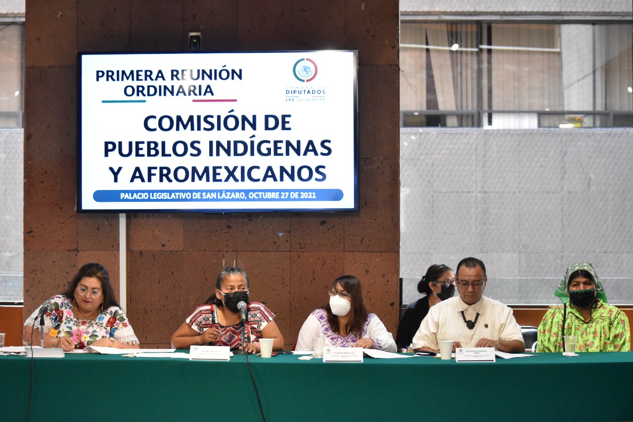 Pueblos Indígenas y Afromexicanos