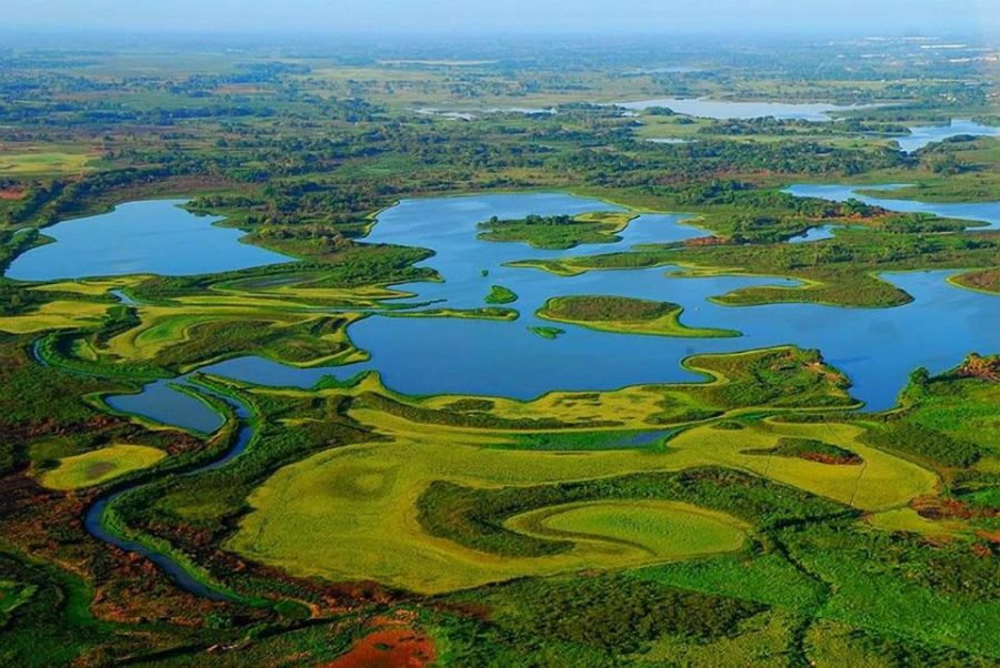 pantanos-de-centla-fb-las-huellas-del-pasado-e1557454347878