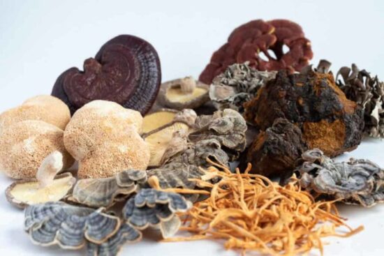 hongos-medicinales-720x480