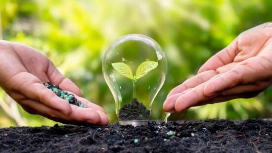 dia-mundial-del-medio-ambiente-2024-1