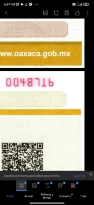 495725727_1280641024062100_1007936547156058340_n