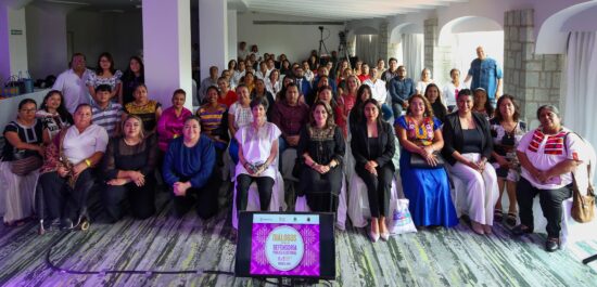 2 La Defensoría Pública Electoral del TEPJF, un pilar para el reconocimiento y protección de la diversidad en México